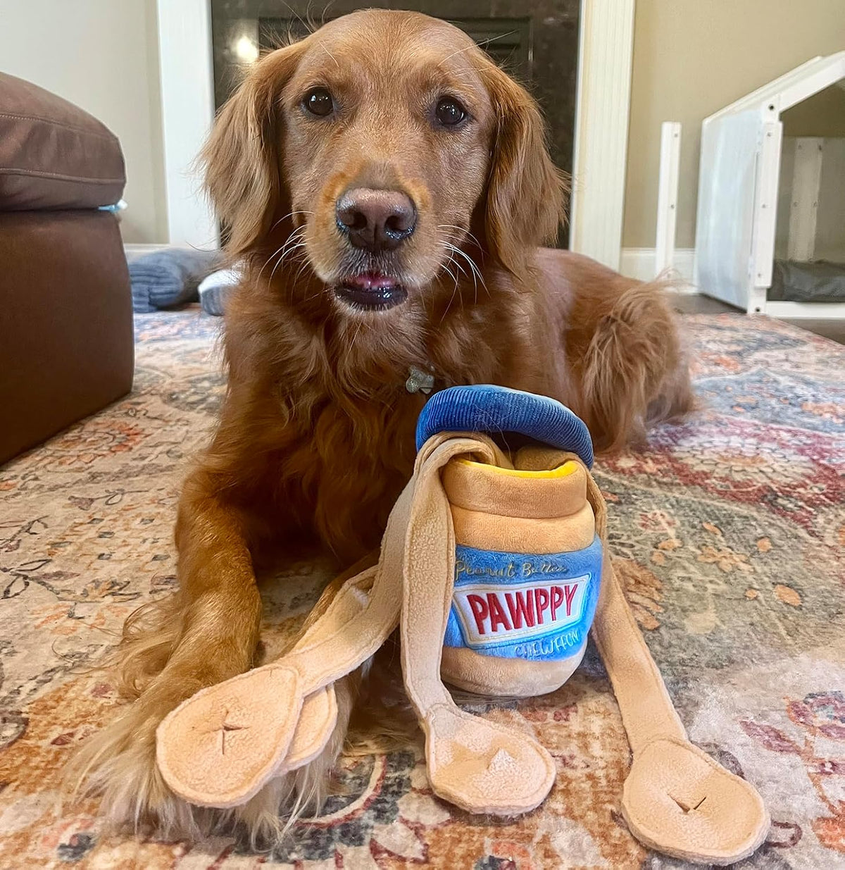 USA imported Chewffon enrichment toy for dogs