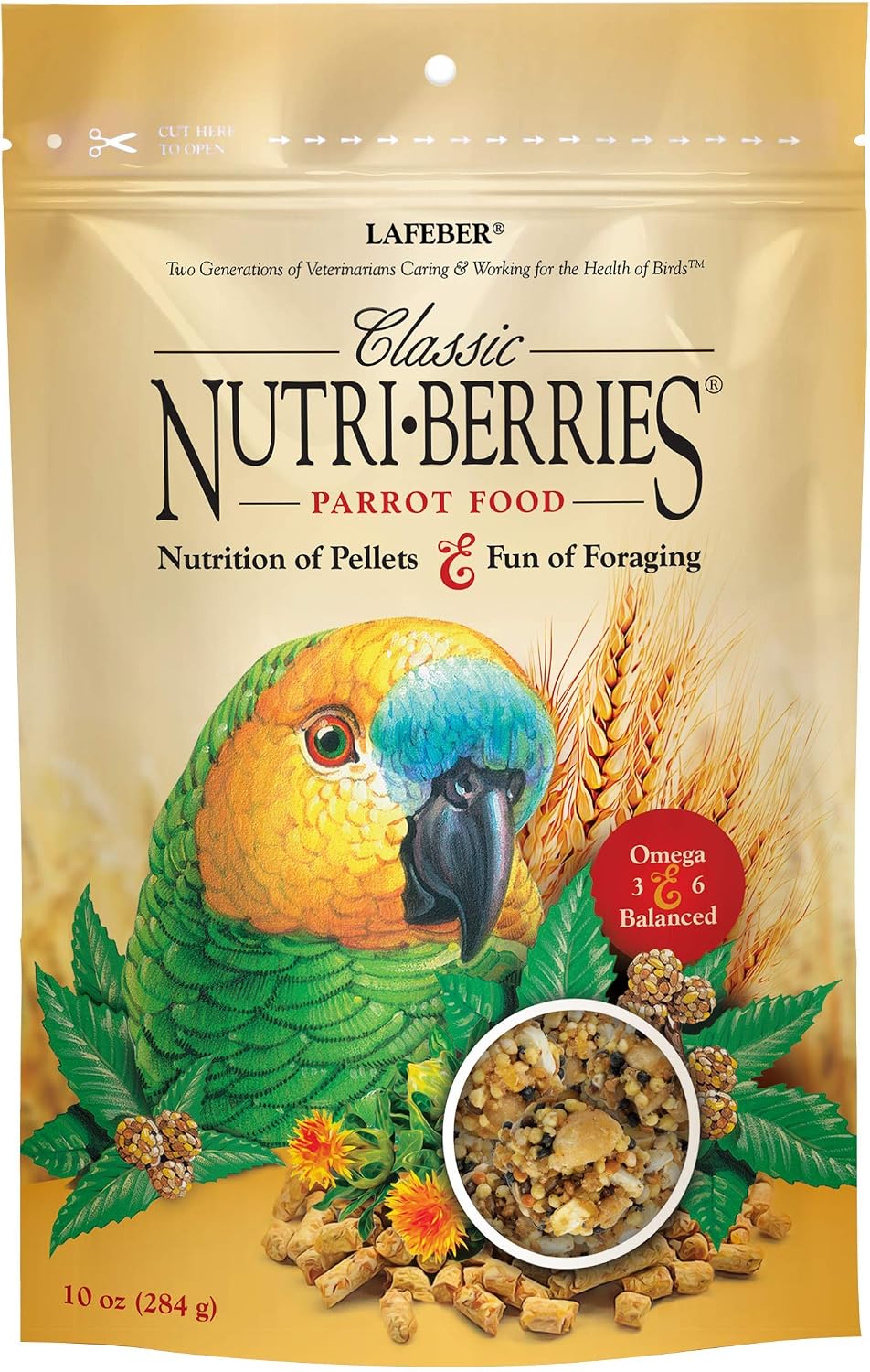 African Grey parrot eating Lafeber Nutri-Berries from a bowl