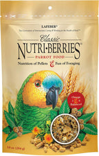 African Grey parrot eating Lafeber Nutri-Berries from a bowl