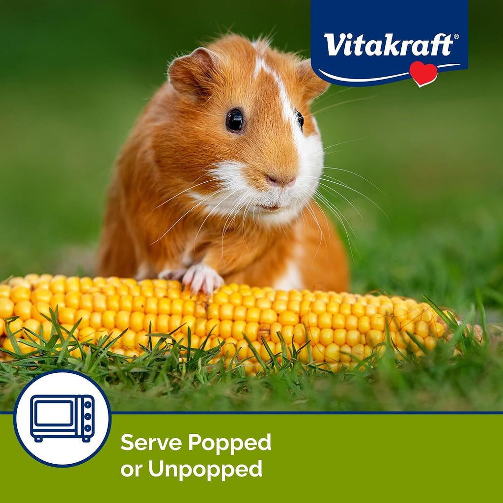 Unpopped hard corn cobs for small pet dental health