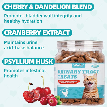 Wellix chicken flavored cat bladder support supplement training biscuits