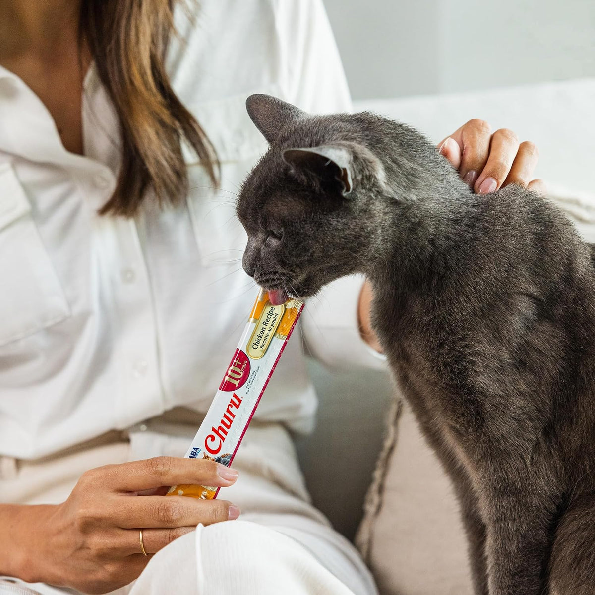 Inaba Churu senior treat squeezed onto a cat bowl