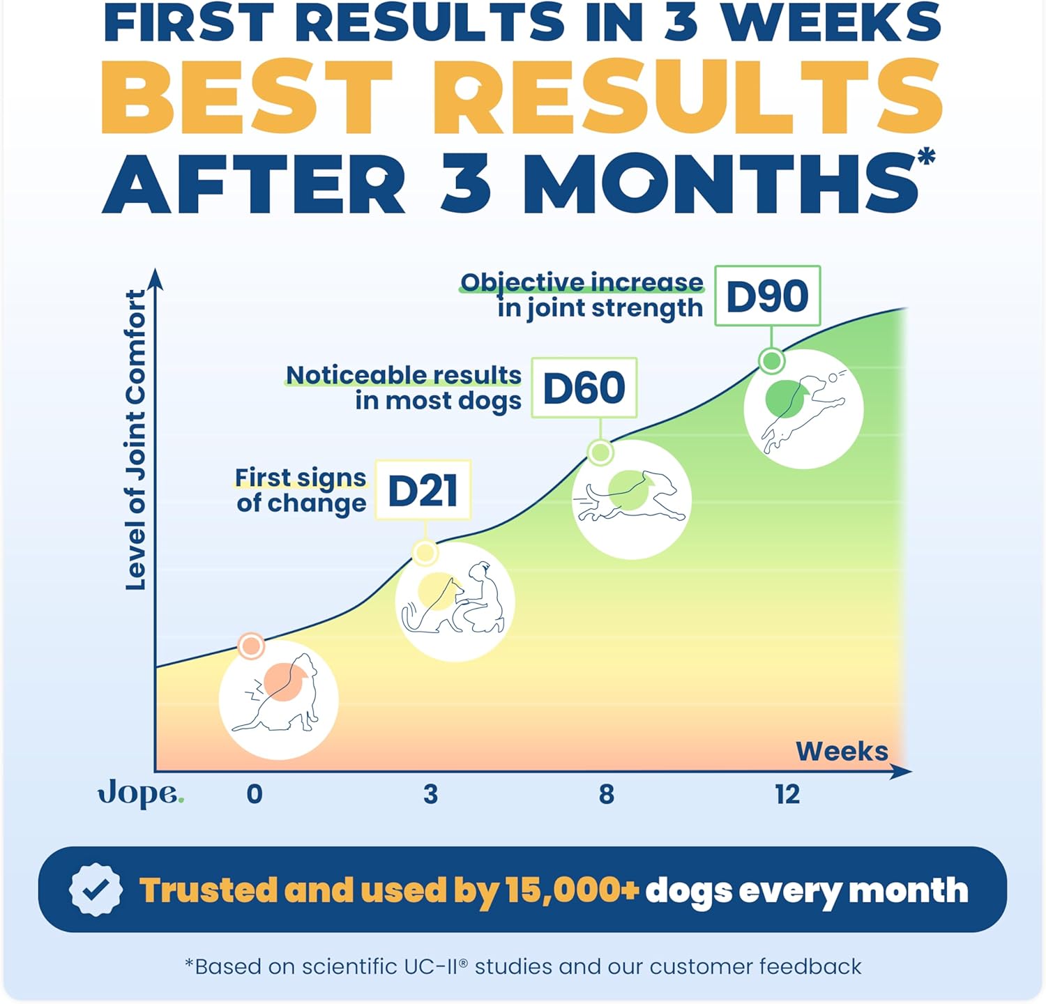 Premium veterinary formulated UC-II collagen chews for canine mobility