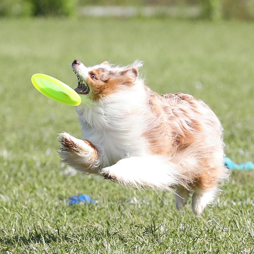 Top down view of yellow Hyperflite Pup Jawz disc