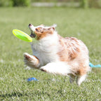 Top down view of yellow Hyperflite Pup Jawz disc
