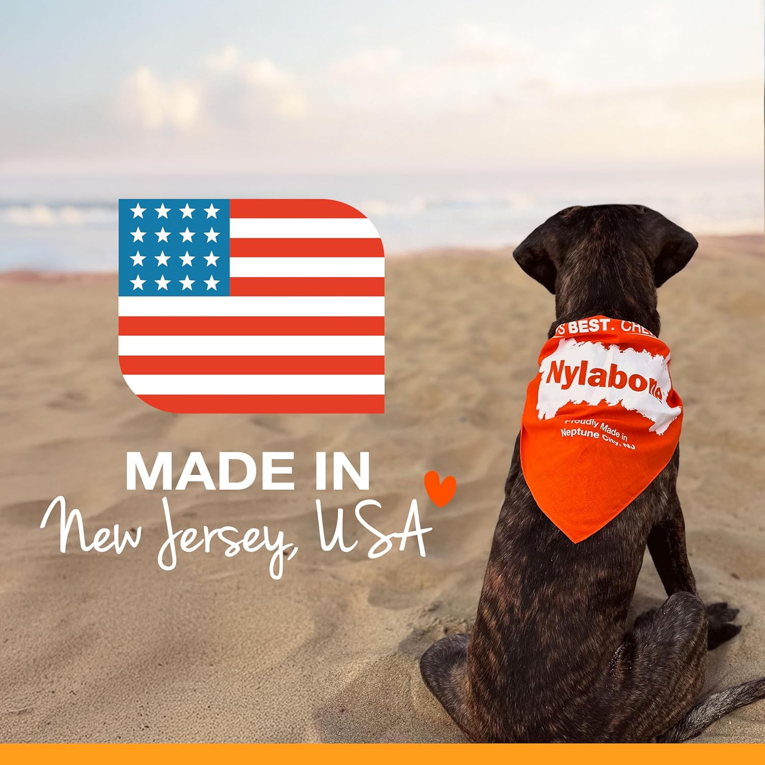 Nylabone Healthy Edibles Natural Dog Chews Long Lasting Meaty Center Beef Flavor Treats for Dogs, Small (12 Count) - Image 10
