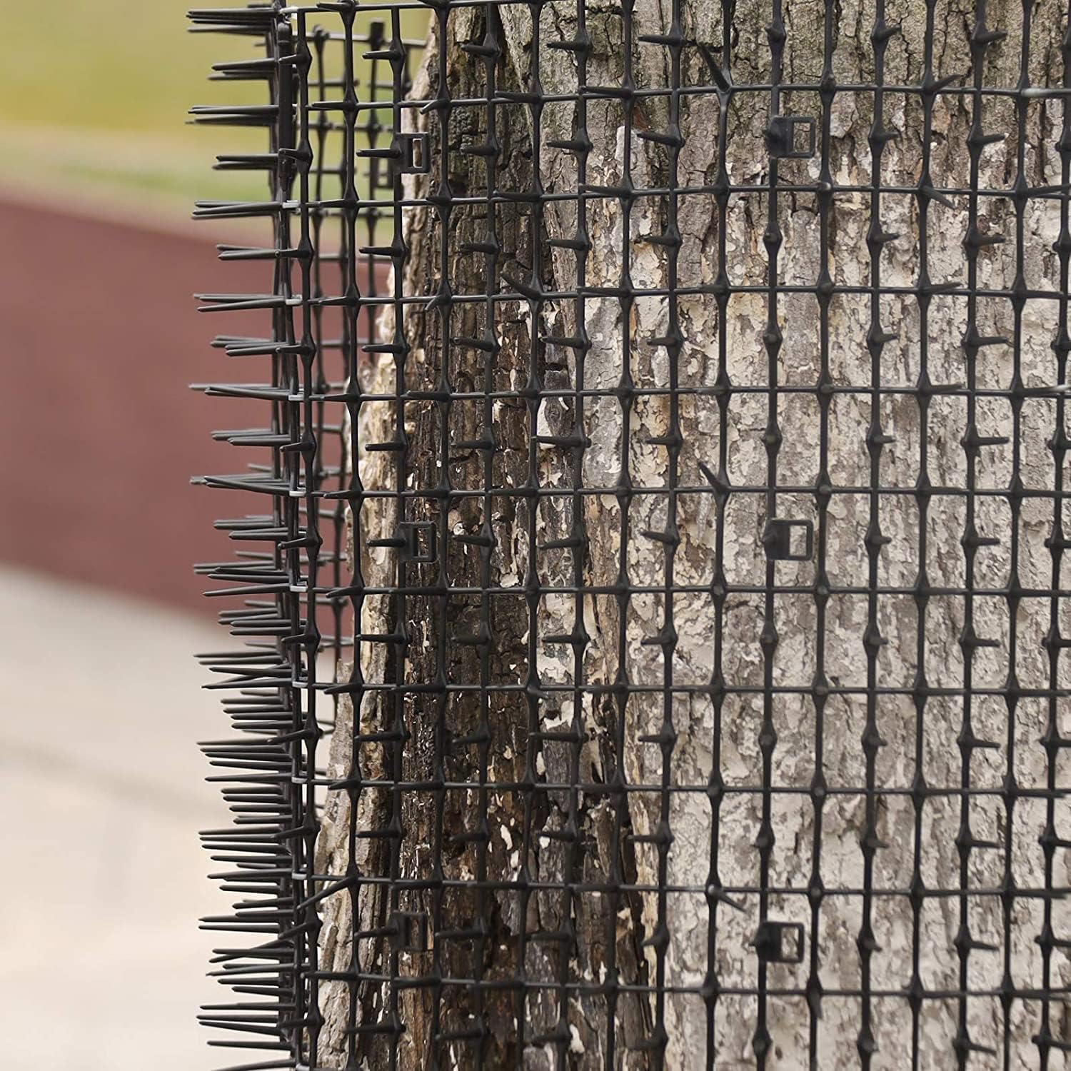 Hmdivor polypropylene spike mat rolled for storage