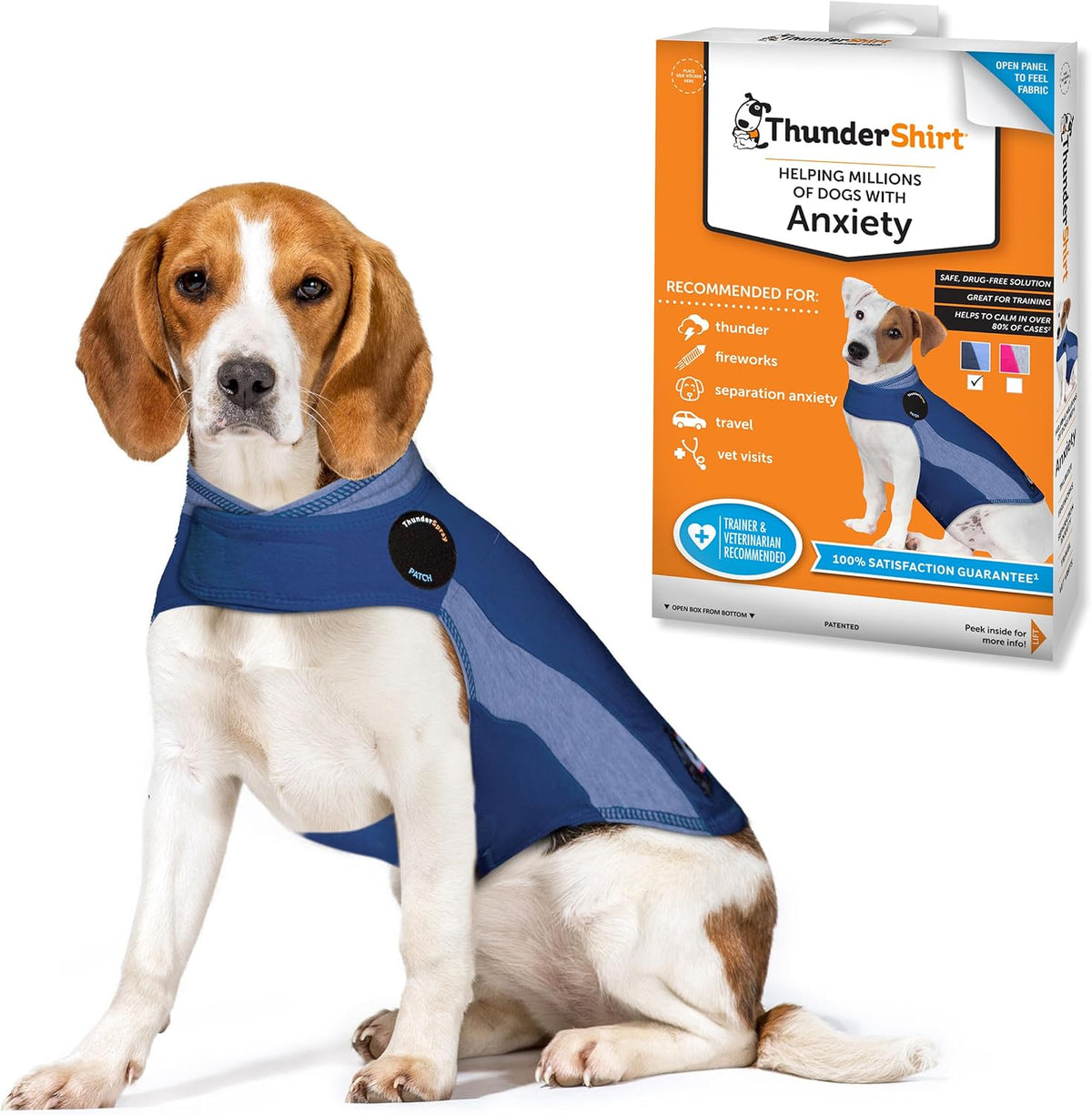 Dog wearing blue polo ThunderShirt anxiety vest