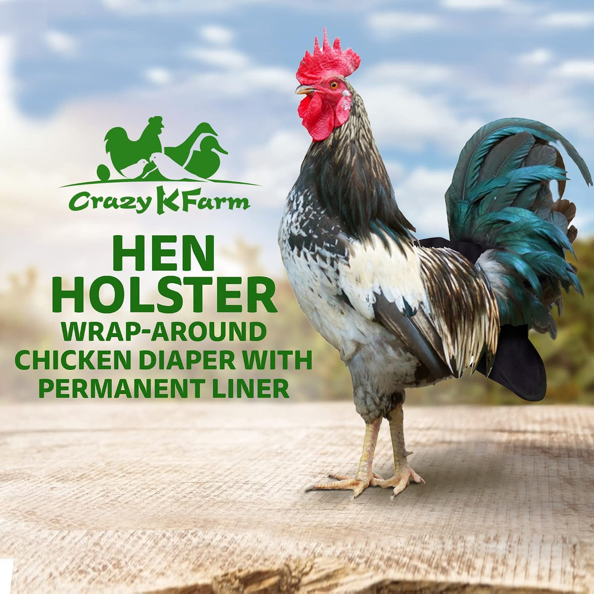 Side view of Hen Holster black chicken diaper with D-ring