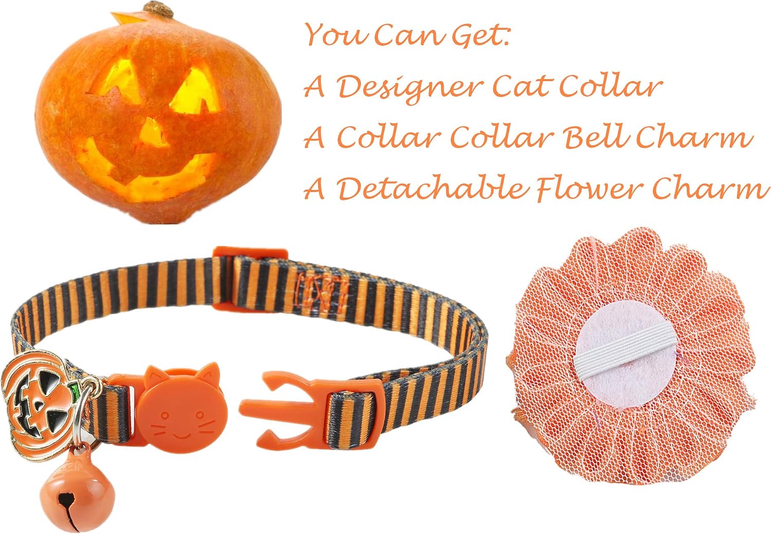 Detachable pumpkin charm on BoomBone cat collar