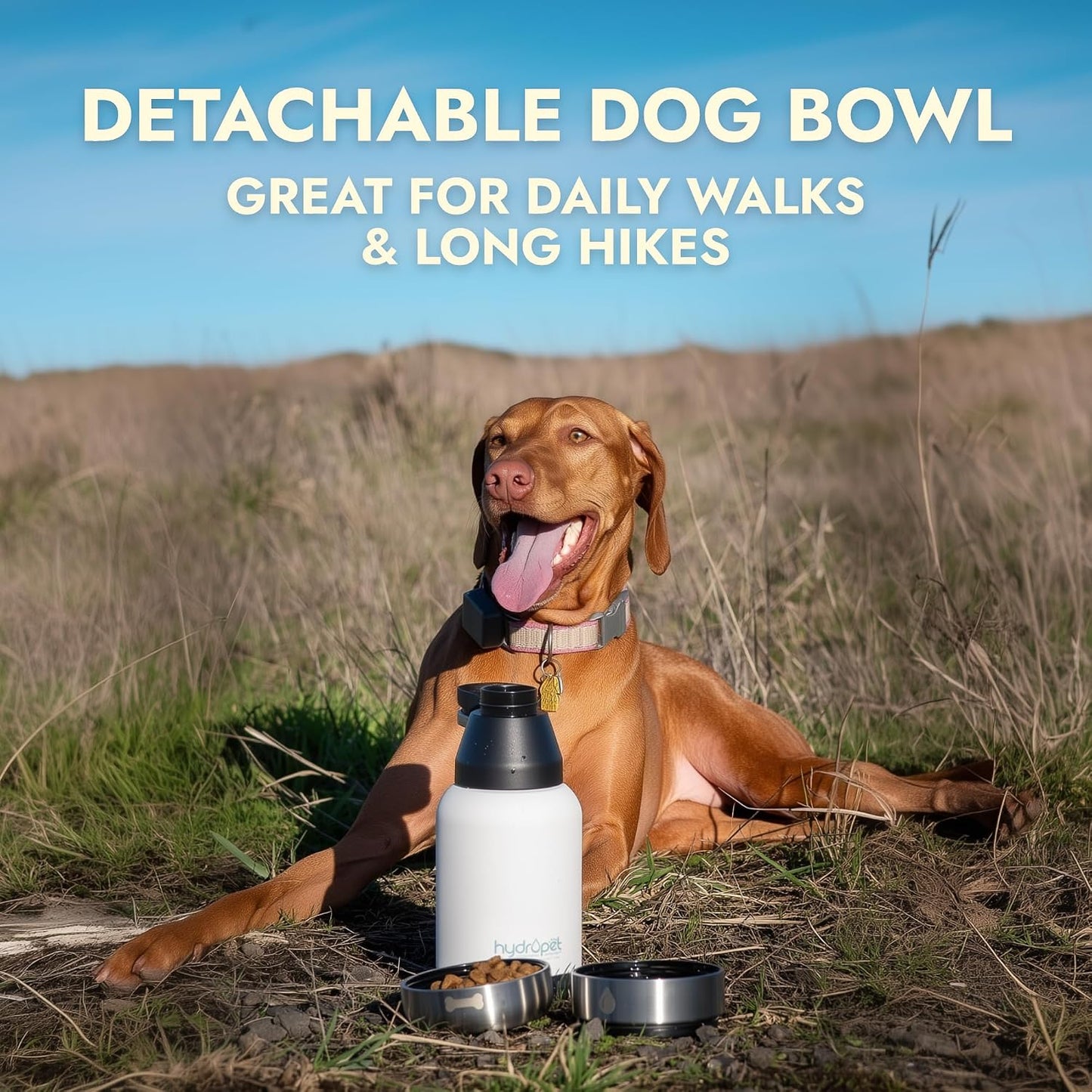 Close up view of the leak proof screw cap on the Pet Vet Products HydroPet stainless steel travel bottle.