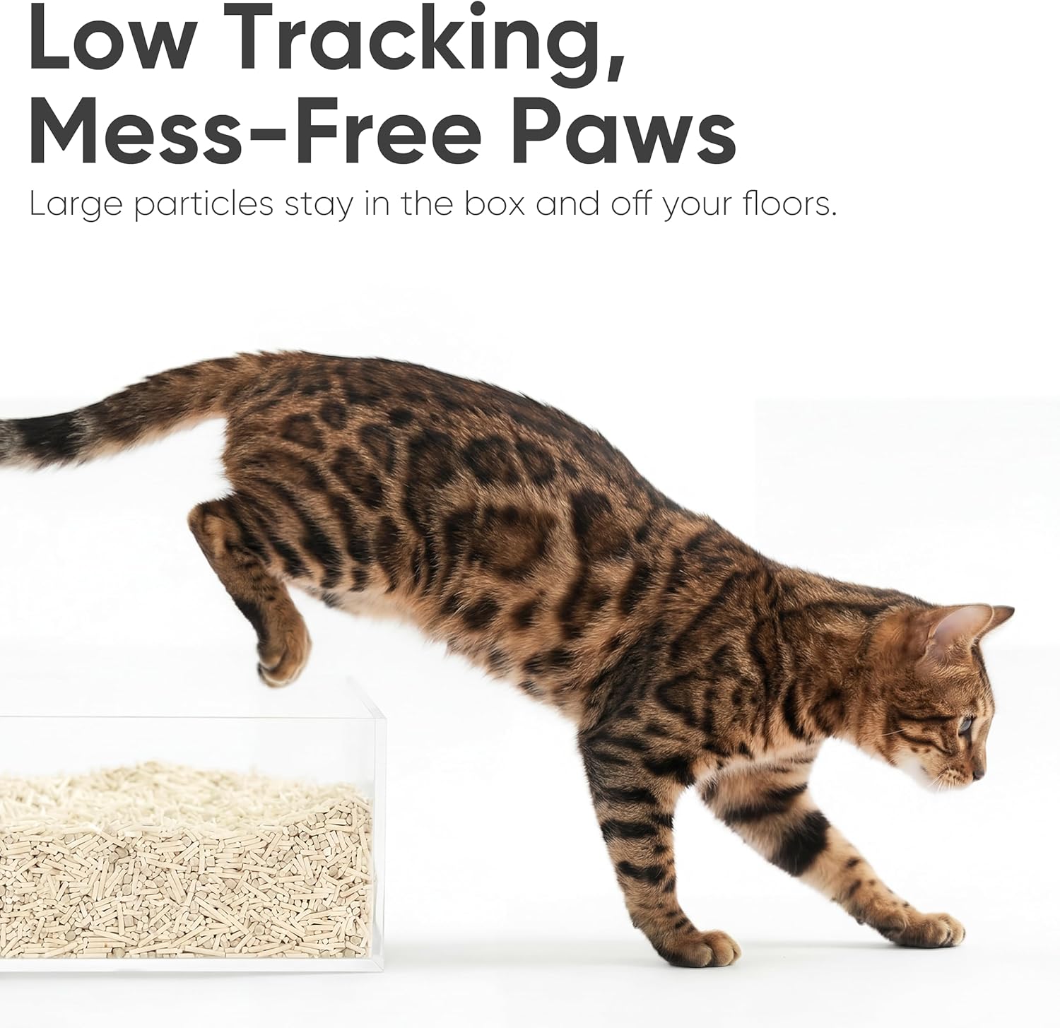 Fukumaru dust-free cat litter pouring into tray