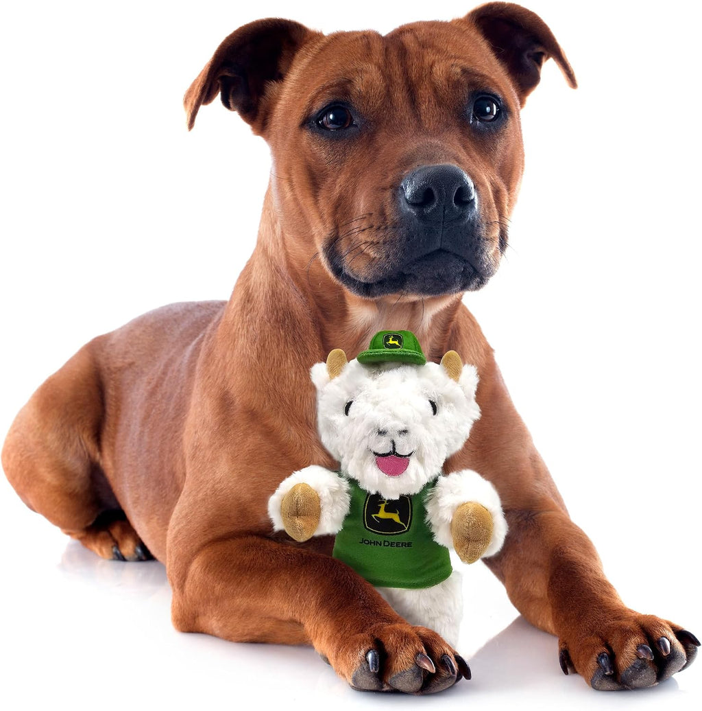 Interactive plush pet teddy bear with built in squeaker mechanism.