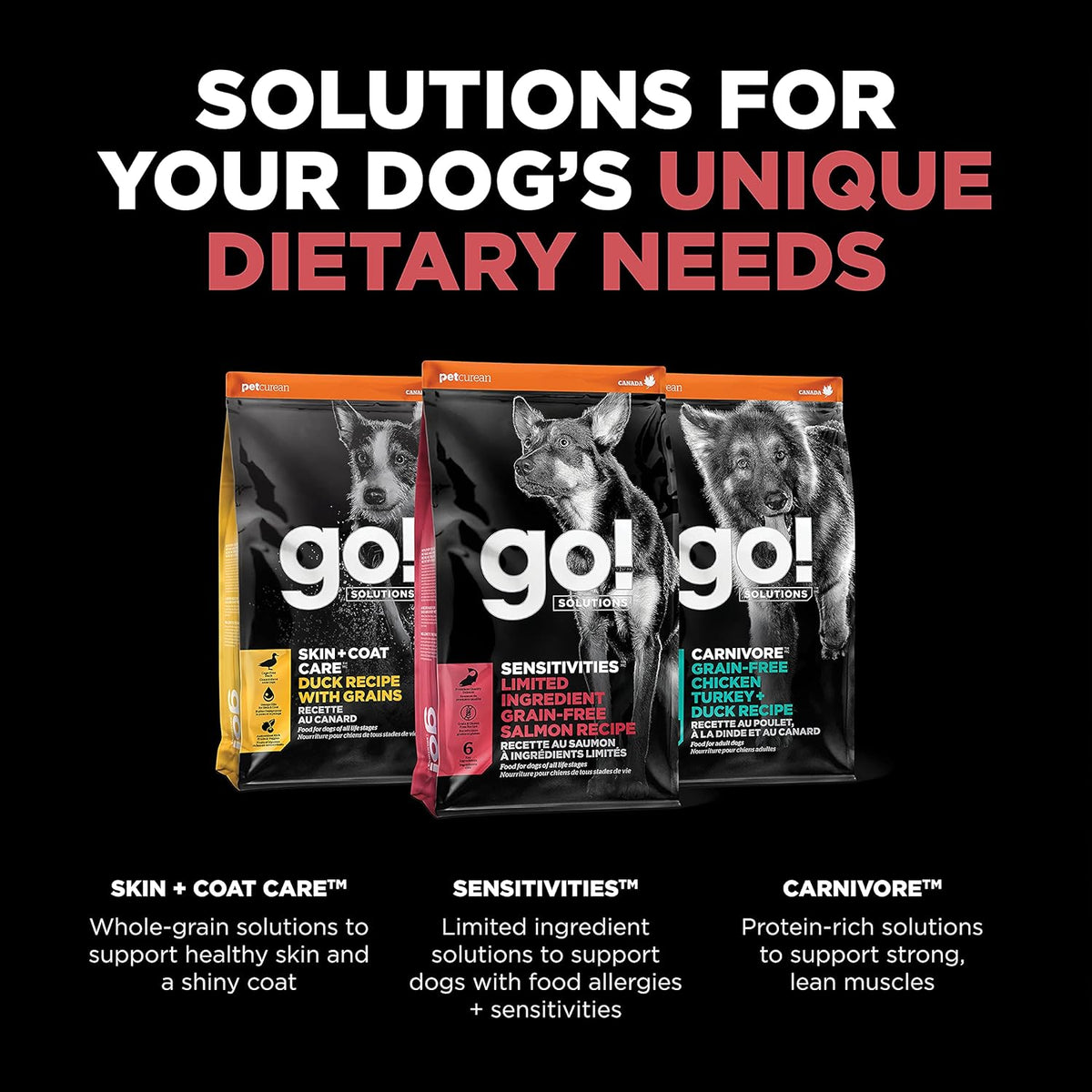 Go Solutions limited ingredient salmon dry dog food for puppies adults and seniors