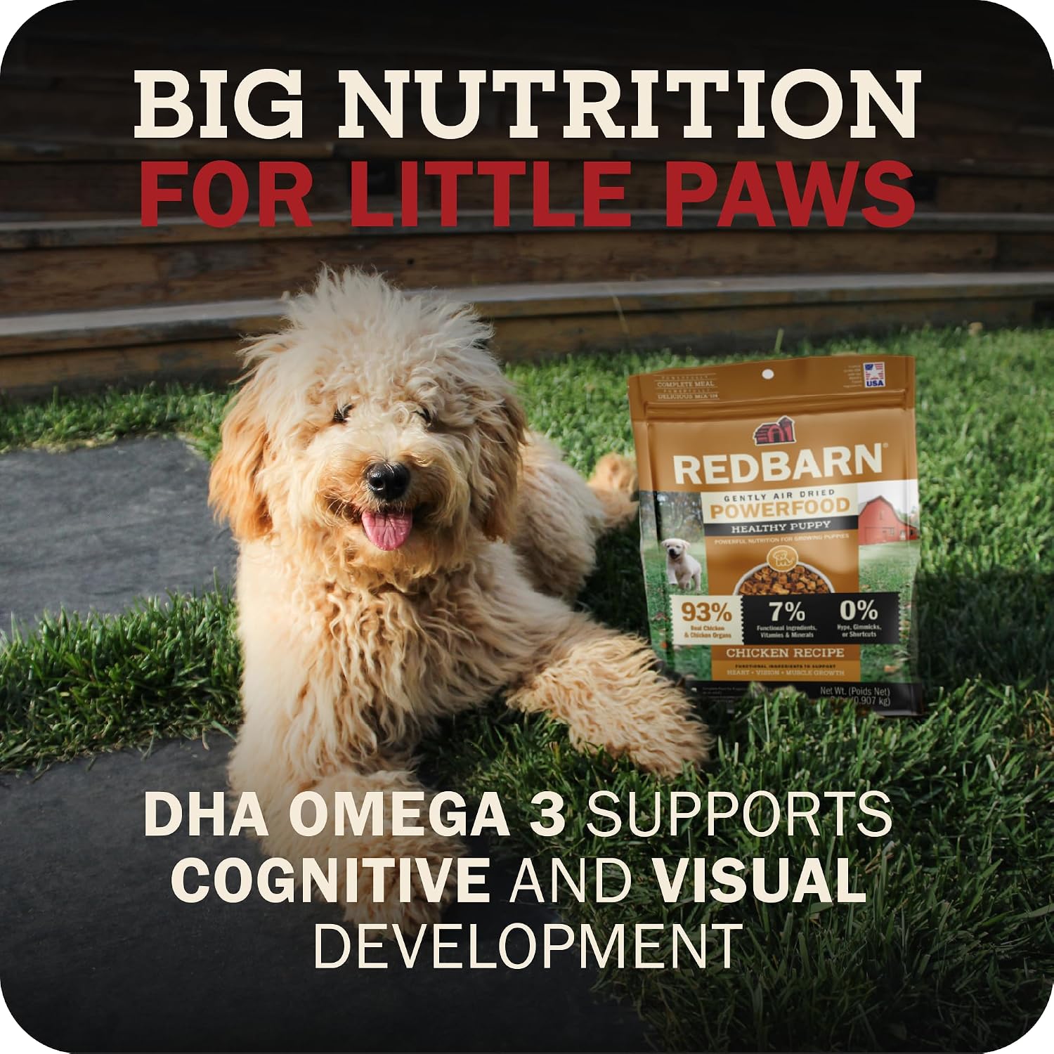 Nutrient rich chicken and organ dry puppy food formula for healthy brain development.