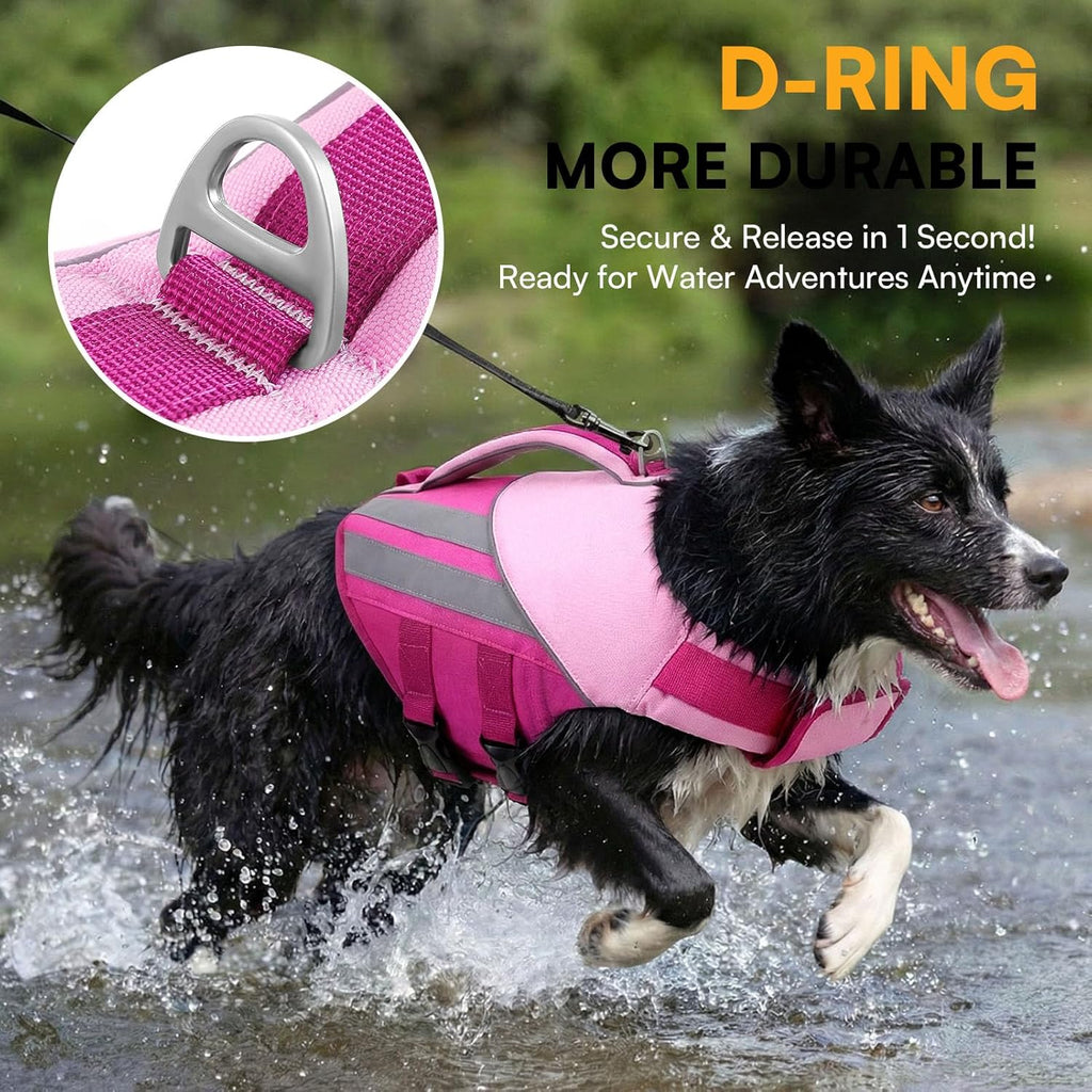 Queenmore pet flotation device with durable leash D-ring attachment