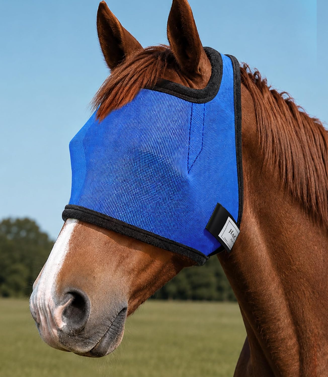 HackFond horse fly mask front view blue mesh
