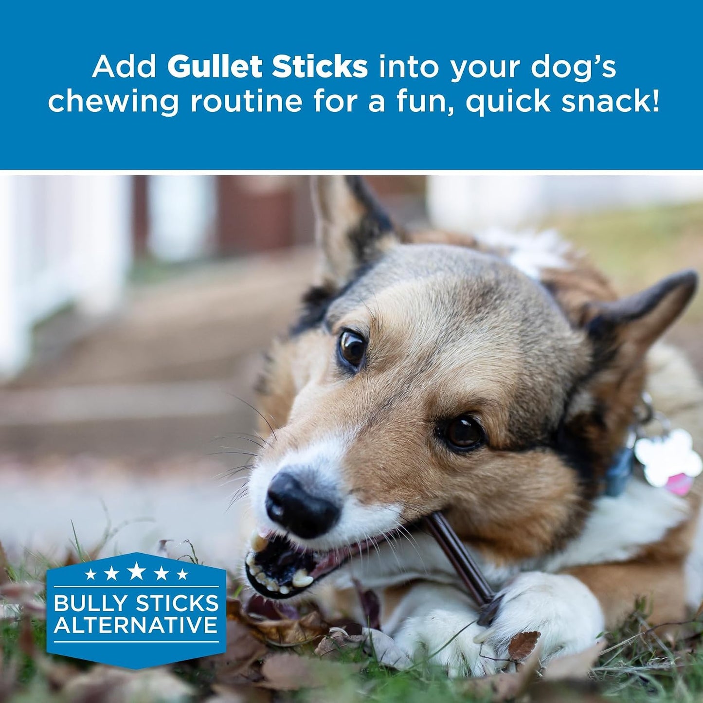 Best Bully Sticks imported USA dog treats premium joint support chews.