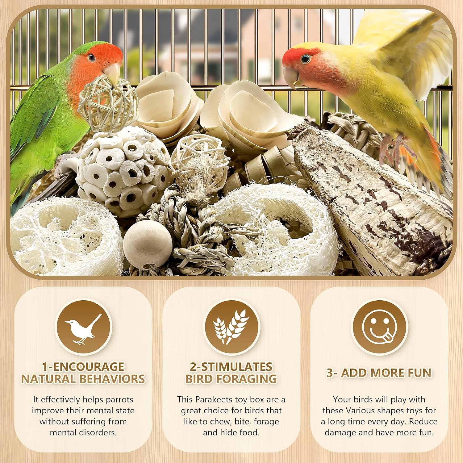 Refillable rattan balls inside a complete bird foraging treasure chest setup.