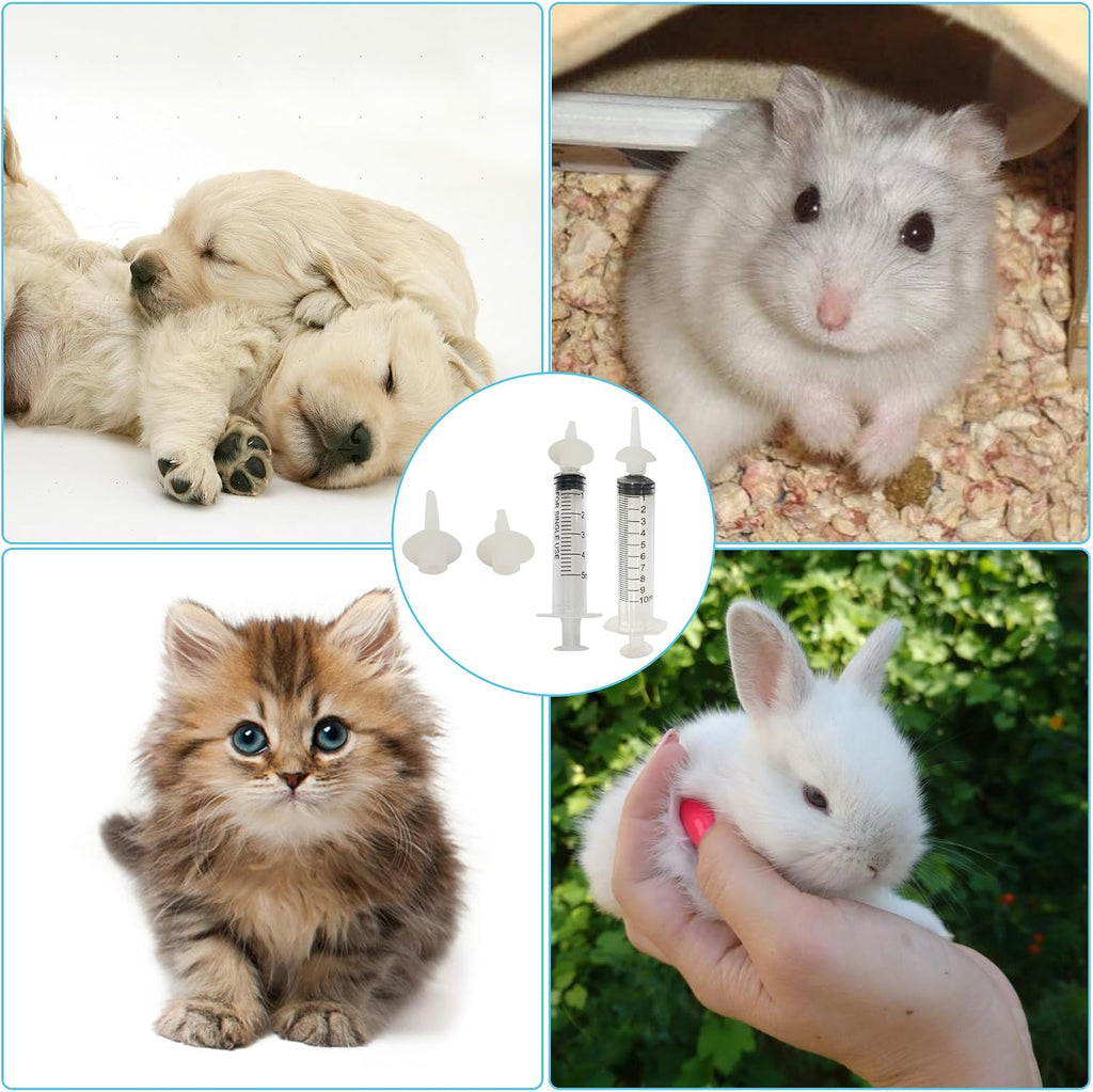 Complete small animal hand feeding kit with individual plastic syringes and multiple silicone teats displayed clearly.