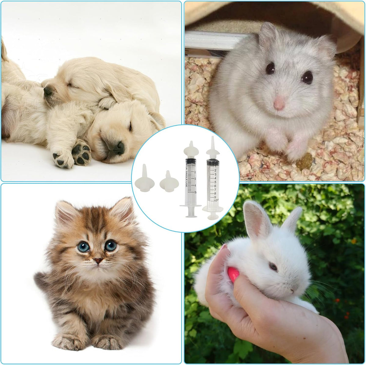 Complete small animal hand feeding kit with individual plastic syringes and multiple silicone teats displayed clearly.
