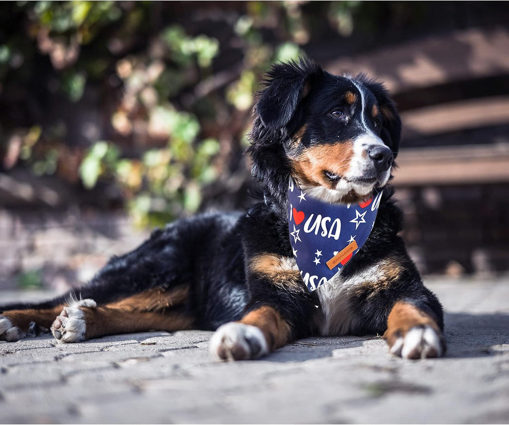 Realeaf USA flag pet fashion accessories package showing the two distinct patriotic patterns.