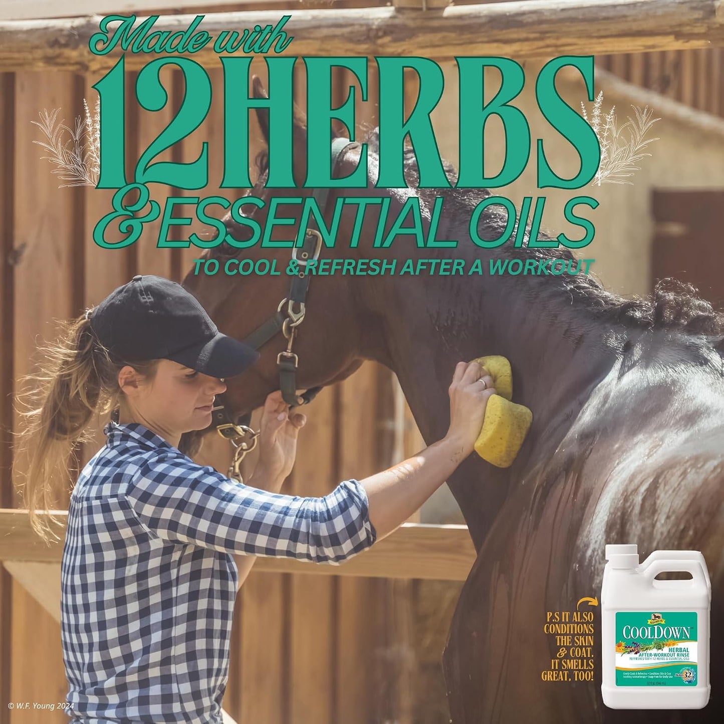 Absorbine CoolDown twelve herbs and essential oils ingredient callout on packaging.