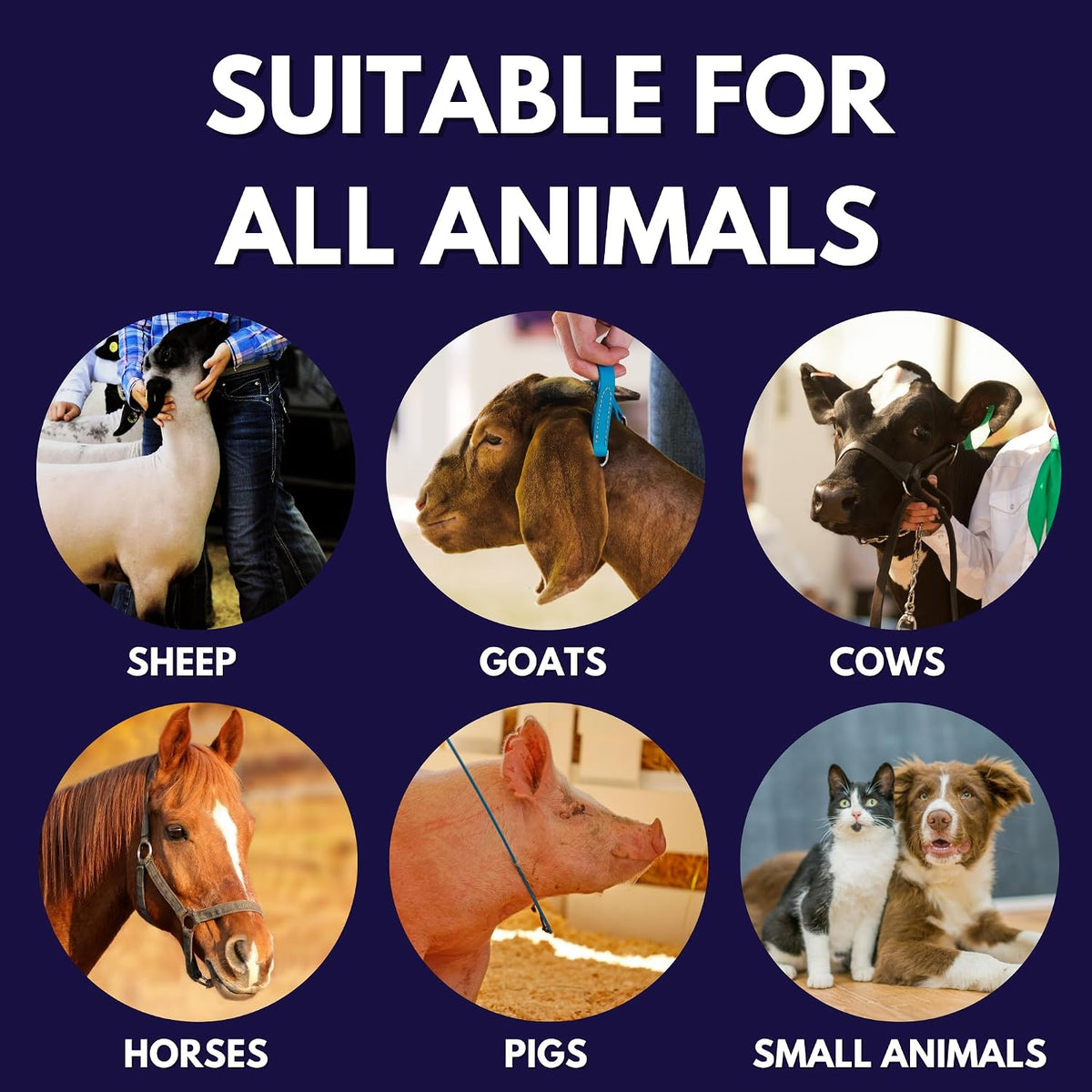 Authentic USA imported Ring Out pet care product