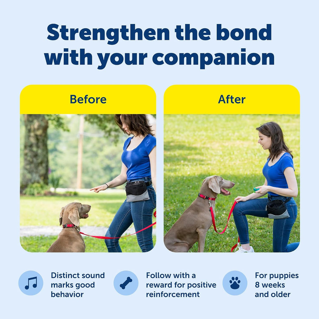 PetSafe positive reinforcement clicker tool for training puppies and adult dogs
