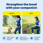 PetSafe positive reinforcement clicker tool for training puppies and adult dogs