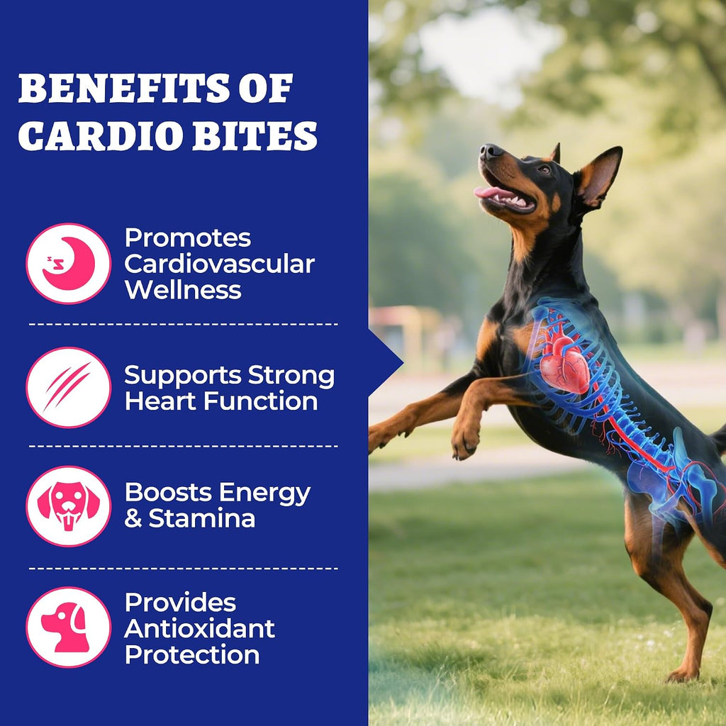 Wellix canine cardiovascular chewable bites jar packaging