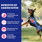 Wellix canine cardiovascular chewable bites jar packaging