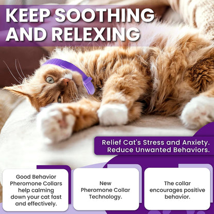 Adjustable breakaway calming cat collar showing the quick-release safety clasp mechanism.