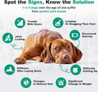 Authentic Doggie Dailies premium dog vitamins and joint care supplements packaging