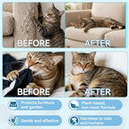 Using Auensten pet spray on indoor carpets