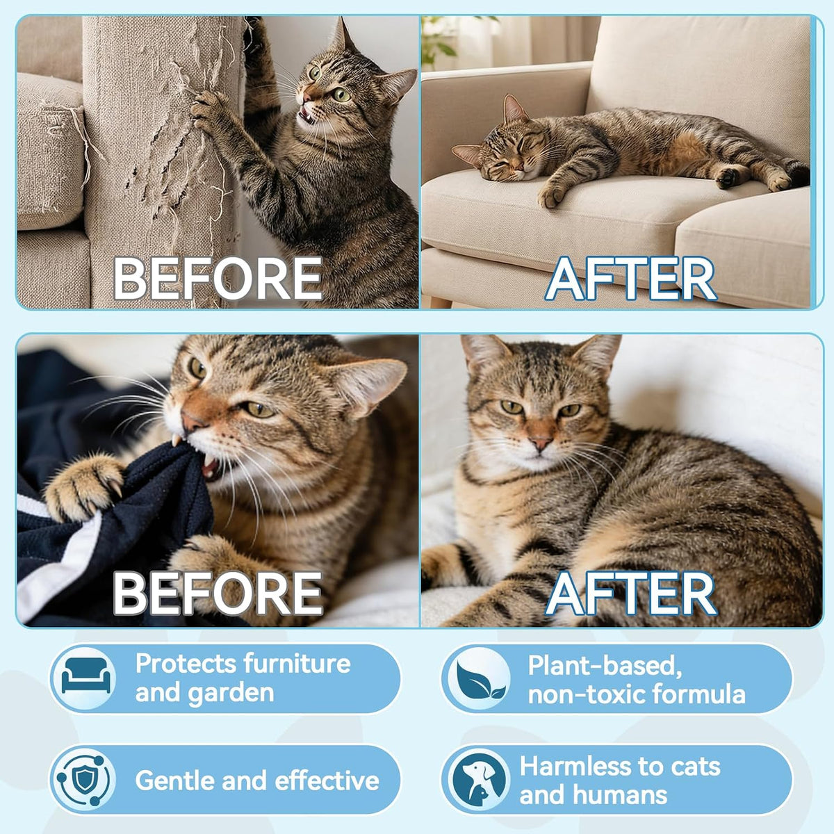 Using Auensten pet spray on indoor carpets
