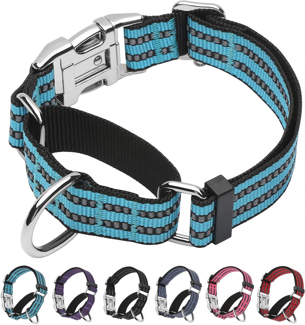 Side profile of hot pink martingale collar for medium dogs