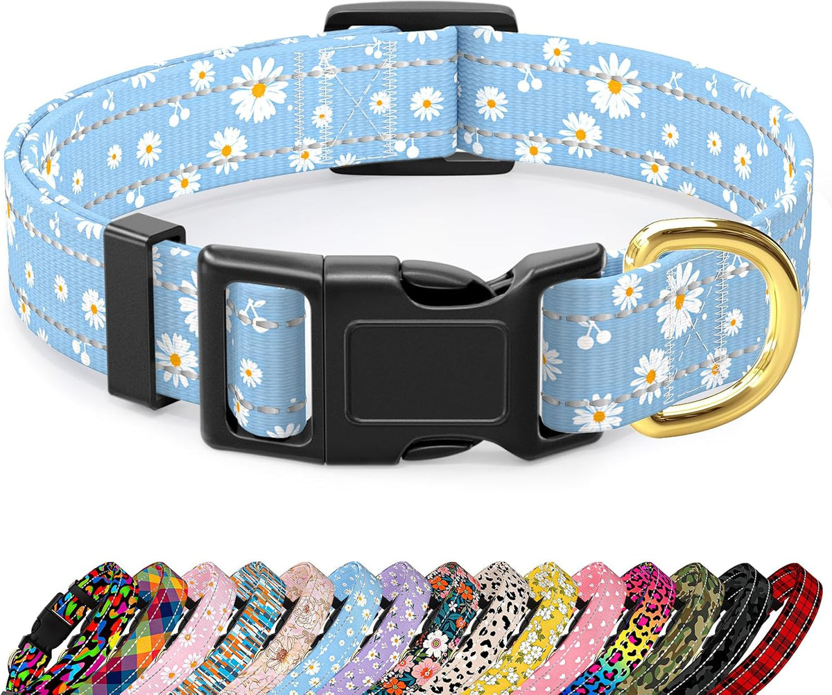 Side view of heavy duty nylon construction for pet collar
