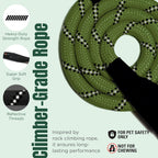 Arca Pet durable aviation aluminum carabiner close up