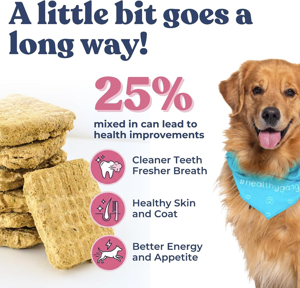 Healthybud raw food patties for dogs of all sizes and breeds