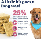 Healthybud raw food patties for dogs of all sizes and breeds