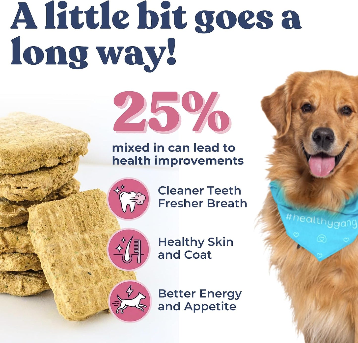 Healthybud raw food patties for dogs of all sizes and breeds