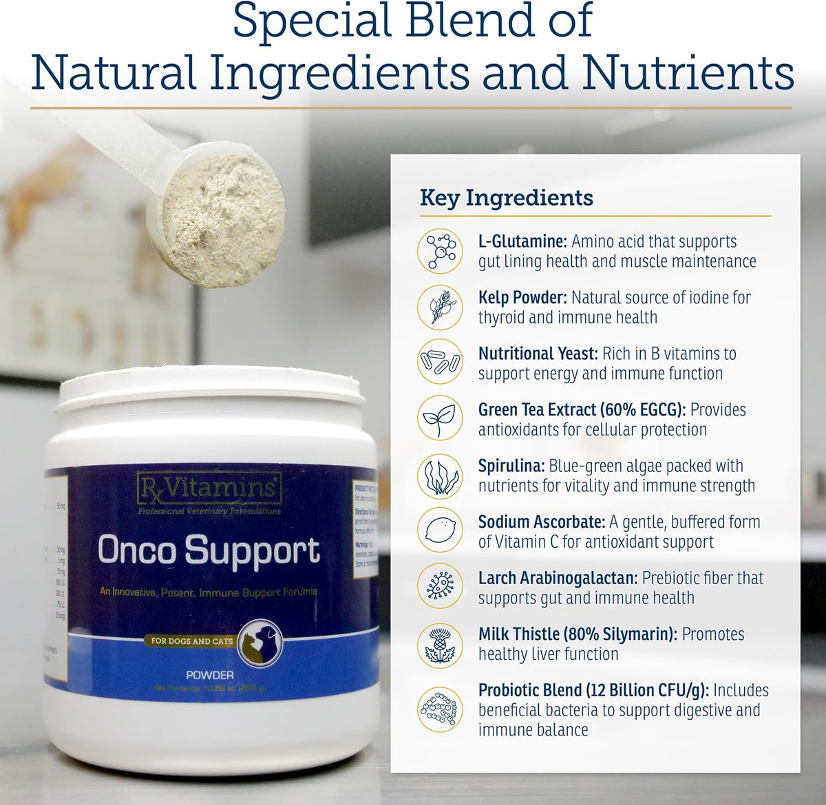 Rx Vitamins Onco Support dog and cat immune booster supplement packaging.