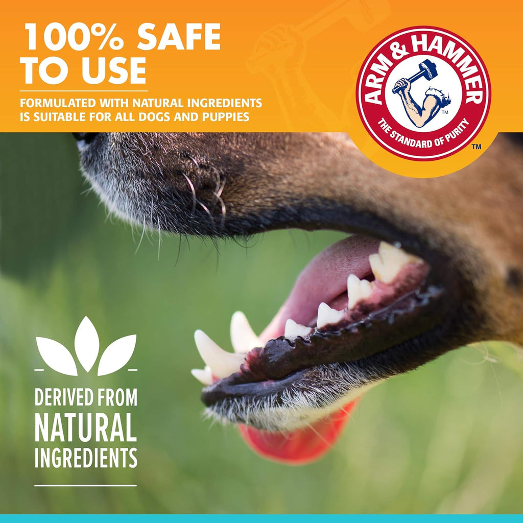 Arm and Hammer dog toothpaste showing vanilla ginger flavor