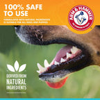 Arm and Hammer dog toothpaste showing vanilla ginger flavor