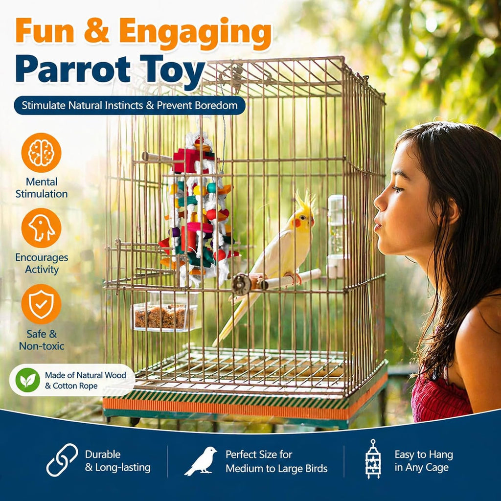 Educational diagram of Rypet bird toy dimensions and usage.