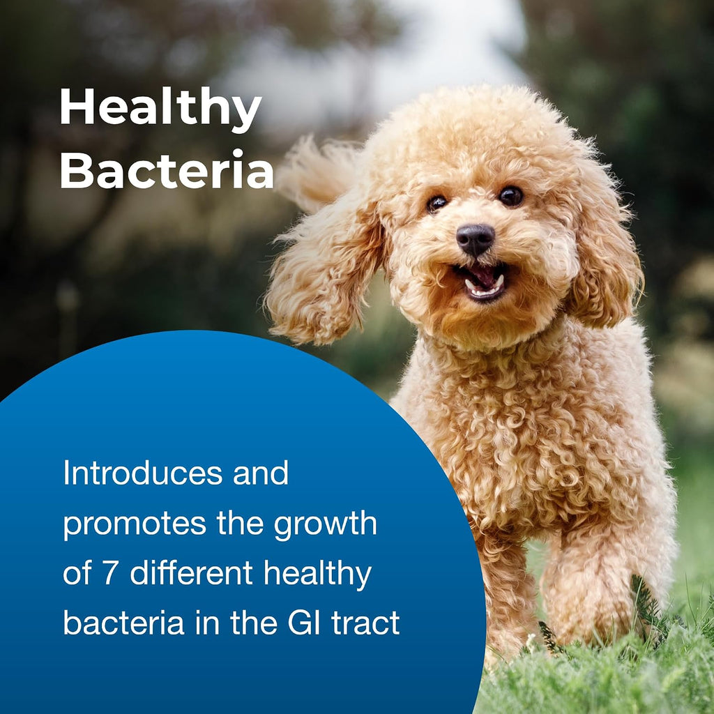 Bene-Bac Plus Pet Gel instructions and dosage syringe