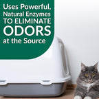 Pet cleaning product lifestyle image with cat