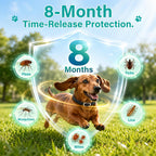 Flea and Tick Collar for Dogs 6 Pack, Natural Flea & Tick Prevention with Essential Oils, Waterproof Adjustable Dog Collar for Small Medium Large Dogs, Black & Gold - Image 3