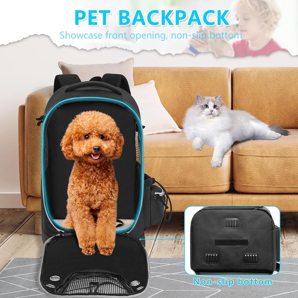 Internal view of small dog carrier showing secure swivel safety tether clip